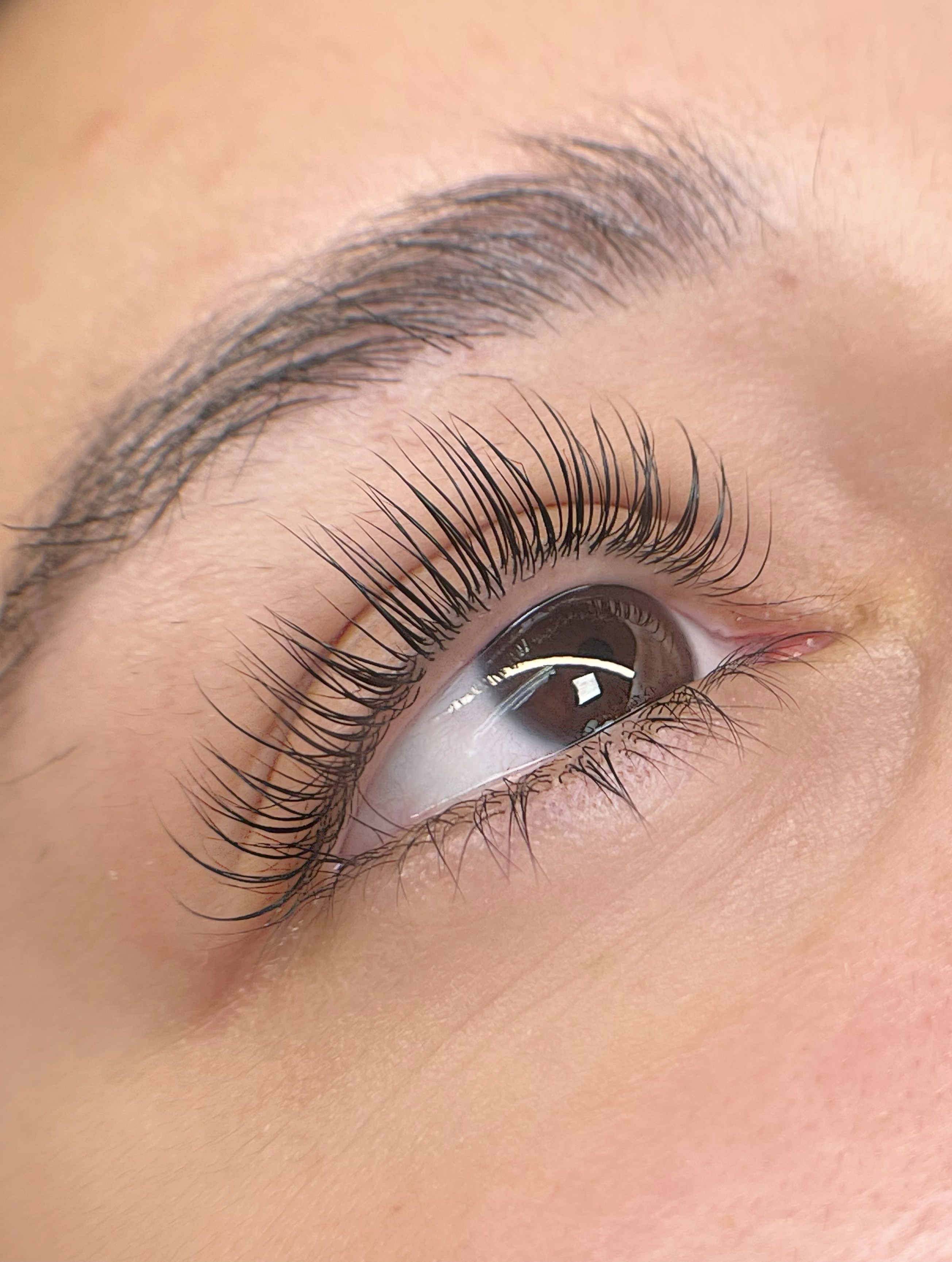 Lash Lifting + Pigmento